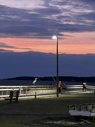 Eastern Shore scenic waterfront